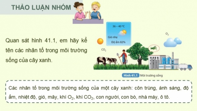 Soạn giáo án điện tử KHTN 8 KNTT Bài 41: Môi trường và các nhân tố sinh thái