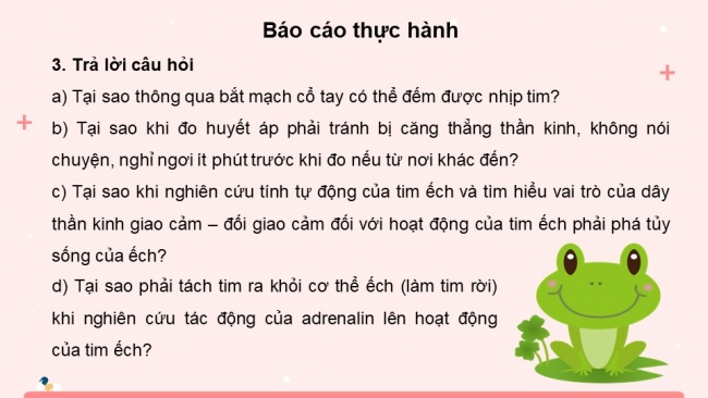 Soạn giáo án điện tử sinh học 11 KNTT Bài 11: Thực hành - Một số thí nghiệm về hệ tuần hoàn