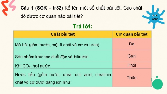 Soạn giáo án điện tử sinh học 11 KNTT Bài 13: Bài tiết và cân bằng nội môi