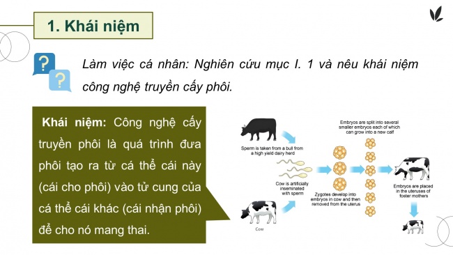 Soạn giáo án điện tử công nghệ chăn nuôi 11 KNTT Bài 6: Ứng dụng công nghệ sinh học trong chọn và nhân giống vật nuôi