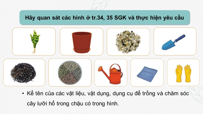 Soạn giáo án điện tử công nghệ 4 cánh diều Bài 7: Trồng và chăm sóc cây cảnh trong chậu