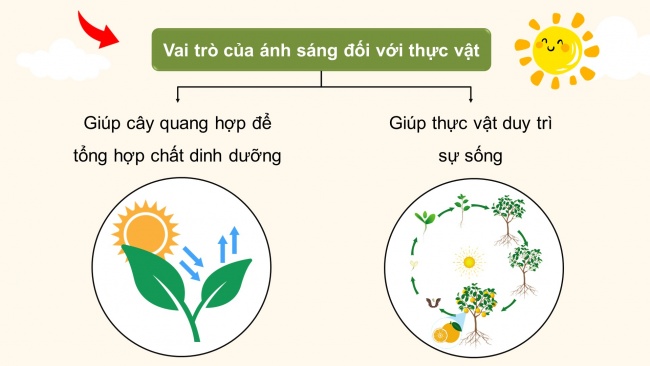 Soạn giáo án điện tử khoa học 4 cánh diều Bài 8: Ánh sáng trong đời sống