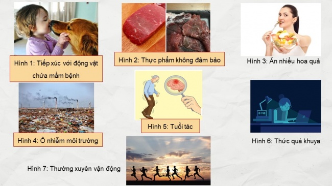 Soạn giáo án điện tử sinh học 11 CTST Bài 12: Miễn dịch ở động vật và người