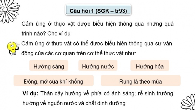 Soạn giáo án điện tử sinh học 11 CTST Bài 15: Cảm ứng ở thực vật