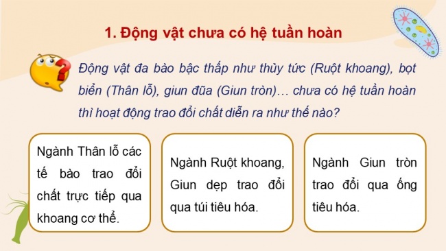 Soạn giáo án điện tử sinh học 11 Cánh diều Bài 8: Hệ tuần hoàn ở động vật (P1)