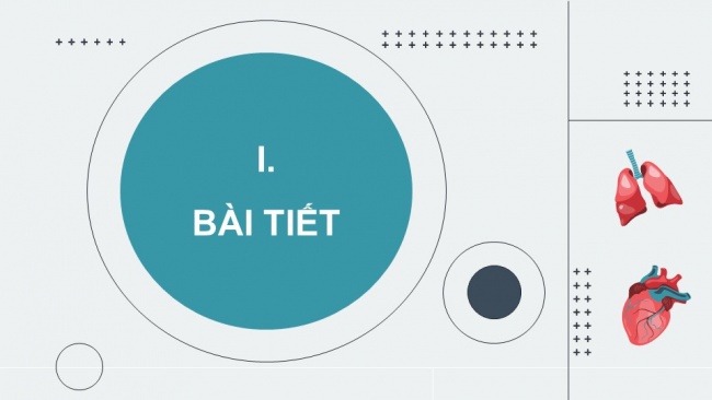 Soạn giáo án điện tử sinh học 11 Cánh diều Bài 10: Bài tiết và cân bằng nội môi