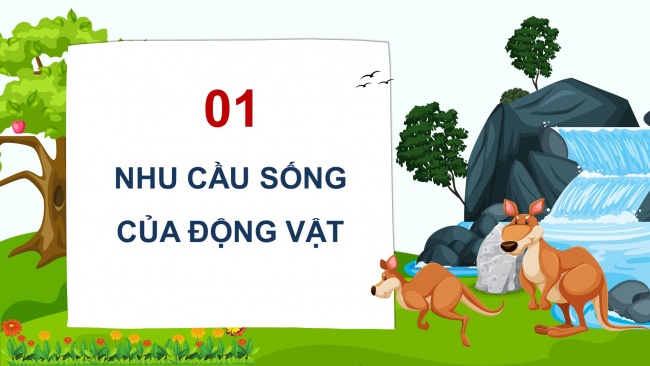 Soạn giáo án điện tử khoa học 4 cánh diều Bài 14: Nhu cầu sống của động vật và chăm sóc vật nuôi (P1)