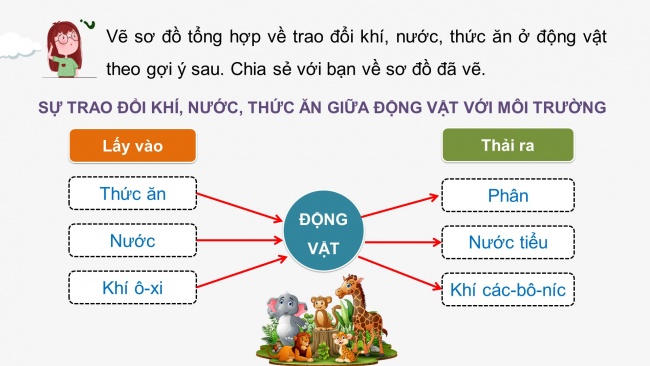 Soạn giáo án điện tử khoa học 4 cánh diều Bài 14: Nhu cầu sống của động vật và chăm sóc vật nuôi (P2)