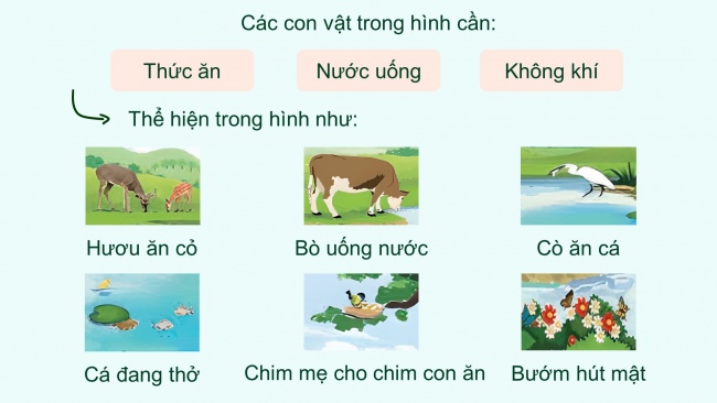 Soạn giáo án điện tử khoa học 4 KNTT Bài 16: Động vật cần gì để sống?