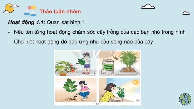 Soạn giáo án điện tử khoa học 4 KNTT Bài 17: Chăm sóc cây trồng, vật nuôi