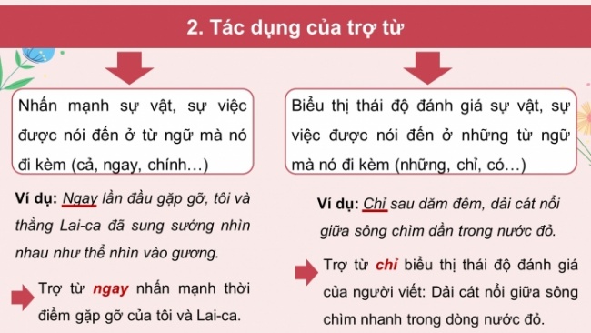 Soạn giáo án điện tử Ngữ văn 8 KNTT Bài 6 TH tiếng Việt: Trợ từ