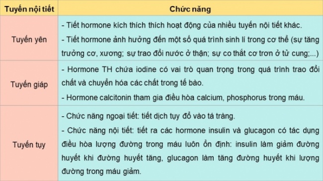 Soạn giáo án điện tử KHTN 8 KNTT Bài 38: Hệ nội tiết ở người