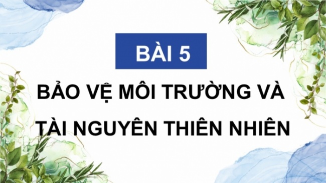 Soạn giáo án điện tử Công dân 8 CTST Bài 5: Bảo vệ môi trường và tài nguyên thiên nhiên