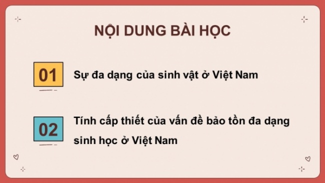 Soạn giáo án điện tử Địa lí 8 KNTT Bài 10: Sinh vật Việt Nam