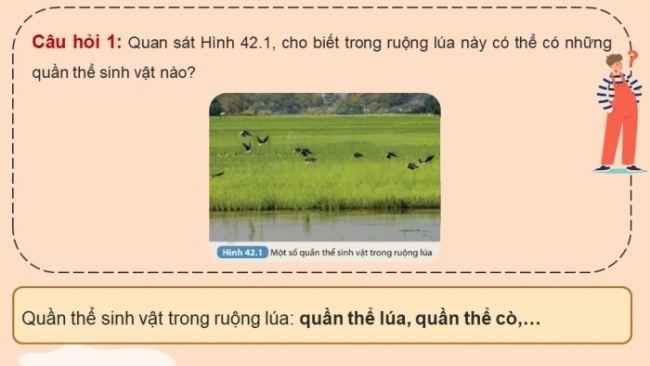 Soạn giáo án điện tử KHTN 8 KNTT Bài 42: Quần thể sinh vật