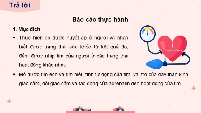 Soạn giáo án điện tử sinh học 11 KNTT Bài 11: Thực hành - Một số thí nghiệm về hệ tuần hoàn