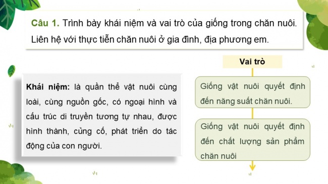 Soạn giáo án điện tử công nghệ chăn nuôi 11 KNTT: Ôn tập chương 2