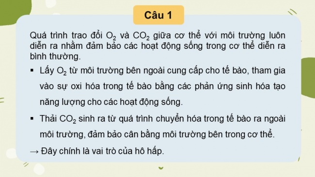 Soạn giáo án điện tử sinh học 11 CTST Bài 9: Hô hấp ở động vật