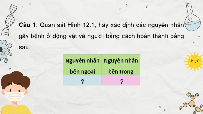 Soạn giáo án điện tử sinh học 11 CTST Bài 12: Miễn dịch ở động vật và người