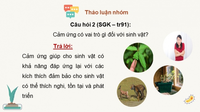 Soạn giáo án điện tử sinh học 11 CTST Bài 14: Khái quát về cảm ứng ở sinh vật