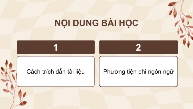 Soạn giáo án điện tử ngữ văn 11 CTST Bài 4: Thực hành tiếng Việt