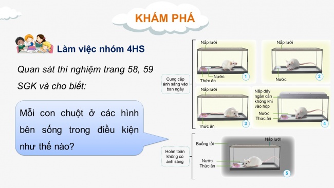 Soạn giáo án điện tử khoa học 4 cánh diều Bài 14: Nhu cầu sống của động vật và chăm sóc vật nuôi (P1)