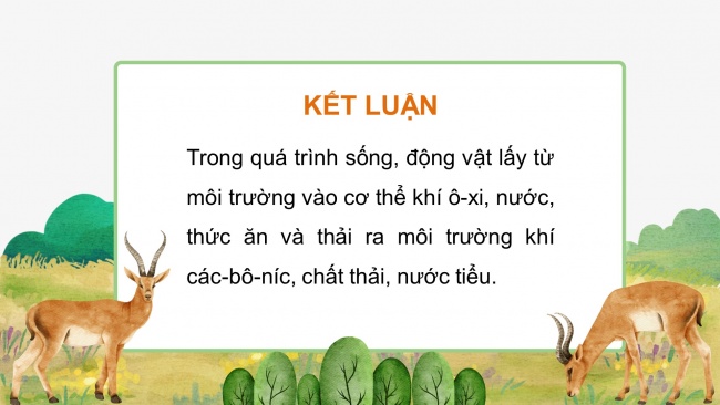 Soạn giáo án điện tử khoa học 4 cánh diều Bài 14: Nhu cầu sống của động vật và chăm sóc vật nuôi (P2)