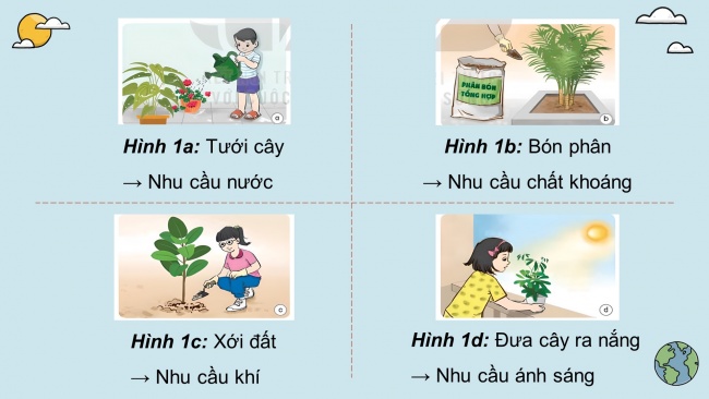 Soạn giáo án điện tử khoa học 4 KNTT Bài 17: Chăm sóc cây trồng, vật nuôi