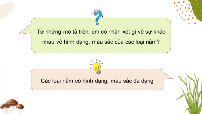 Soạn giáo án điện tử khoa học 4 KNTT Bài 20: Nấm ăn và nấm trong chế biến thực phẩm