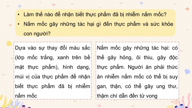 Soạn giáo án điện tử khoa học 4 KNTT Bài 21: Nấm gây hỏng thực phẩm và nấm độc