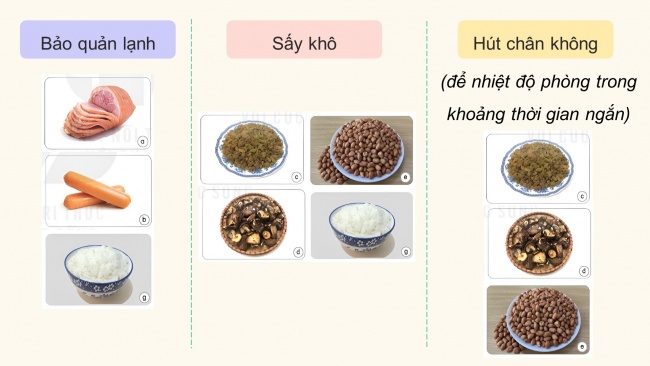 Soạn giáo án điện tử khoa học 4 KNTT Bài 22: Ôn tập chủ đề năm