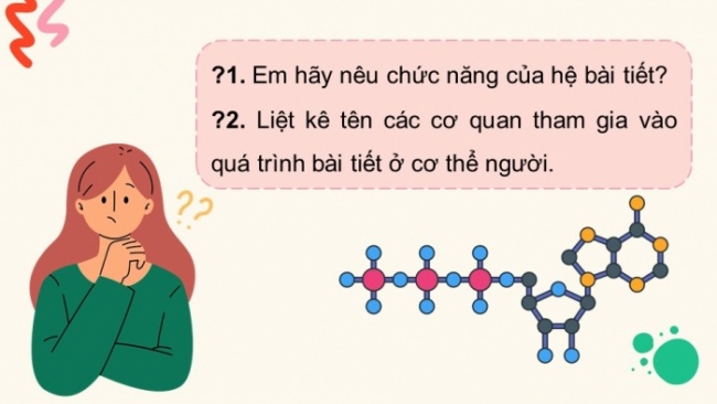 Soạn giáo án điện tử KHTN 8 KNTT Bài 35: Hệ bài tiết ở người