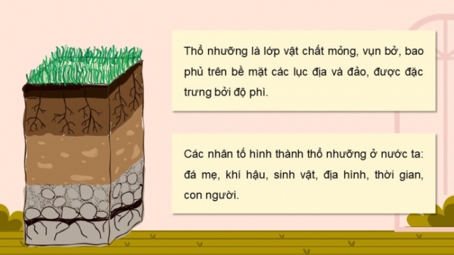 Soạn giáo án điện tử Địa lí 8 KNTT Bài 9: Thổ nhưỡng Việt Nam