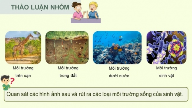 Soạn giáo án điện tử KHTN 8 KNTT Bài 41: Môi trường và các nhân tố sinh thái