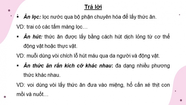 Soạn giáo án điện tử sinh học 11 KNTT Bài 8: Dinh dưỡng và tiêu hóa ở động vật