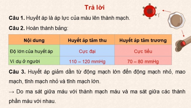 Soạn giáo án điện tử sinh học 11 KNTT Bài 10: Tuần hoàn ở động vật (P2)