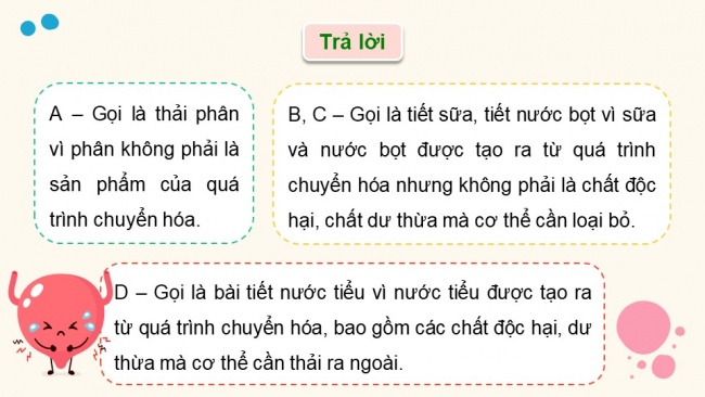 Soạn giáo án điện tử sinh học 11 KNTT Bài 13: Bài tiết và cân bằng nội môi