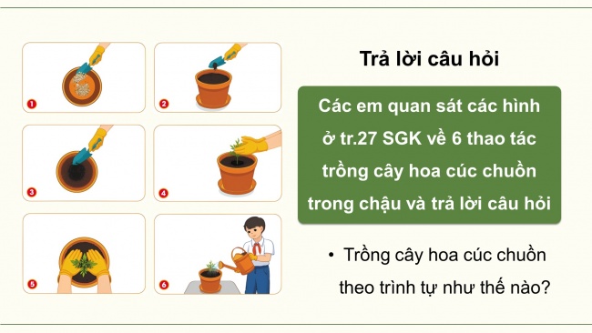 Soạn giáo án điện tử công nghệ 4 cánh diều Bài 6: Trồng và chăm sóc hoa trong chậu