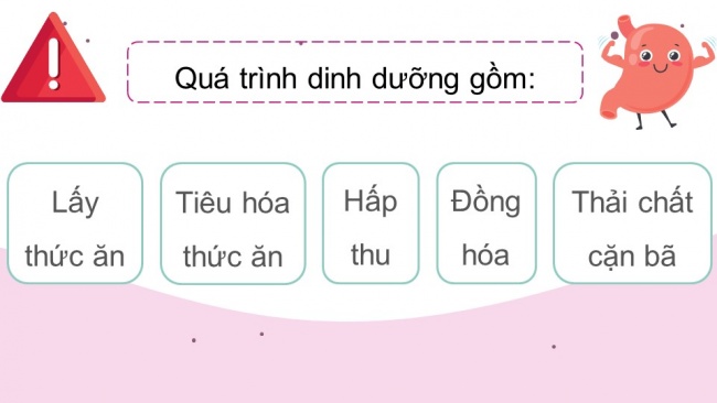 Soạn giáo án điện tử sinh học 11 CTST Bài 8: Dinh dưỡng và tiêu hóa ở động vật