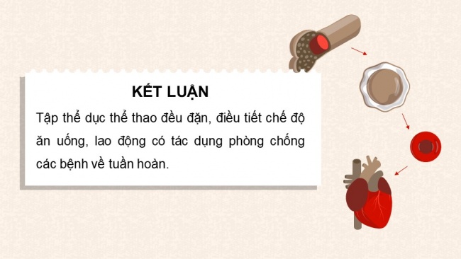 Soạn giáo án điện tử sinh học 11 CTST Bài 10: Tuần hoàn ở động vật (P2)