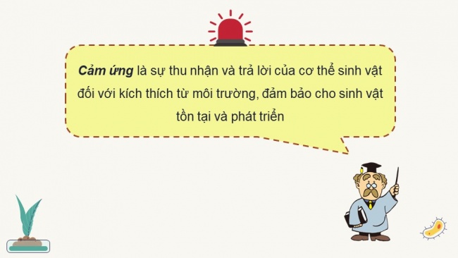 Soạn giáo án điện tử sinh học 11 CTST Bài 14: Khái quát về cảm ứng ở sinh vật