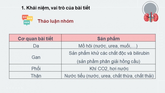 Soạn giáo án điện tử sinh học 11 Cánh diều Bài 10: Bài tiết và cân bằng nội môi