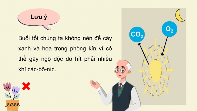 Soạn giáo án điện tử khoa học 4 cánh diều Bài 13: Nhu cầu sống của thực vật và chăm sóc cây trồng (P2)