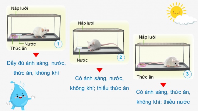 Soạn giáo án điện tử khoa học 4 cánh diều Bài 14: Nhu cầu sống của động vật và chăm sóc vật nuôi (P1)