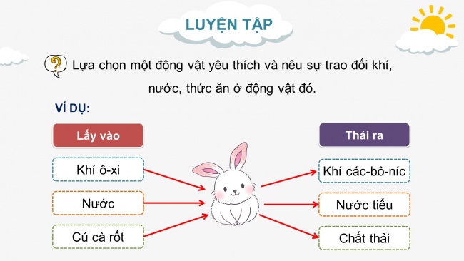 Soạn giáo án điện tử khoa học 4 cánh diều Bài 14: Nhu cầu sống của động vật và chăm sóc vật nuôi (P2)