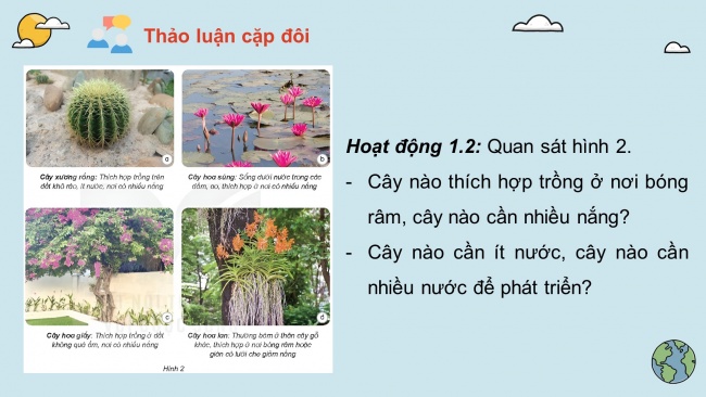 Soạn giáo án điện tử khoa học 4 KNTT Bài 17: Chăm sóc cây trồng, vật nuôi