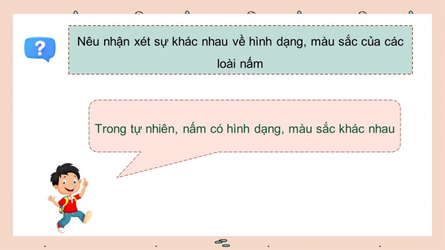 Soạn giáo án điện tử khoa học 4 KNTT Bài 19: Đặc điểm chung của nấm