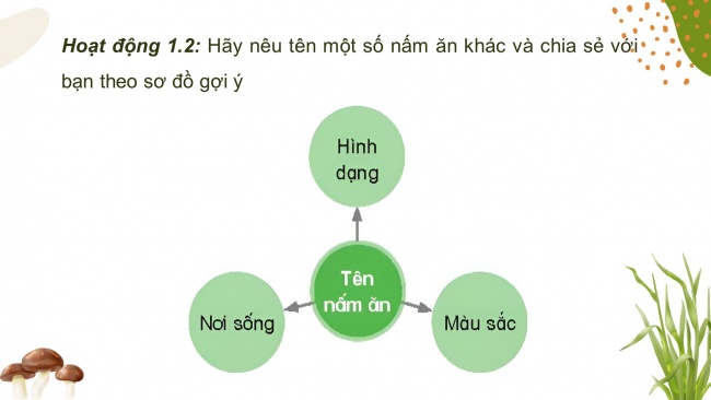 Soạn giáo án điện tử khoa học 4 KNTT Bài 20: Nấm ăn và nấm trong chế biến thực phẩm