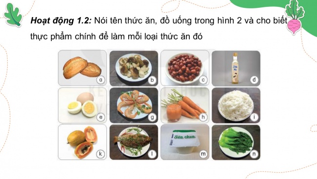 Soạn giáo án điện tử khoa học 4 KNTT Bài 23: Vai trò của chất dinh dưỡng đối với cơ thể