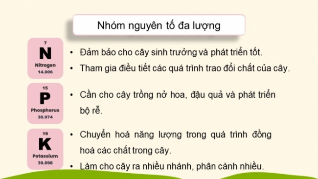 Soạn giáo án điện tử KHTN 8 KNTT Bài 12: Phân bón hoá học